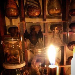 Meet your Posher, Kris